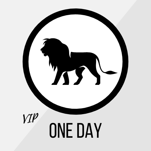 VIP One Day Package